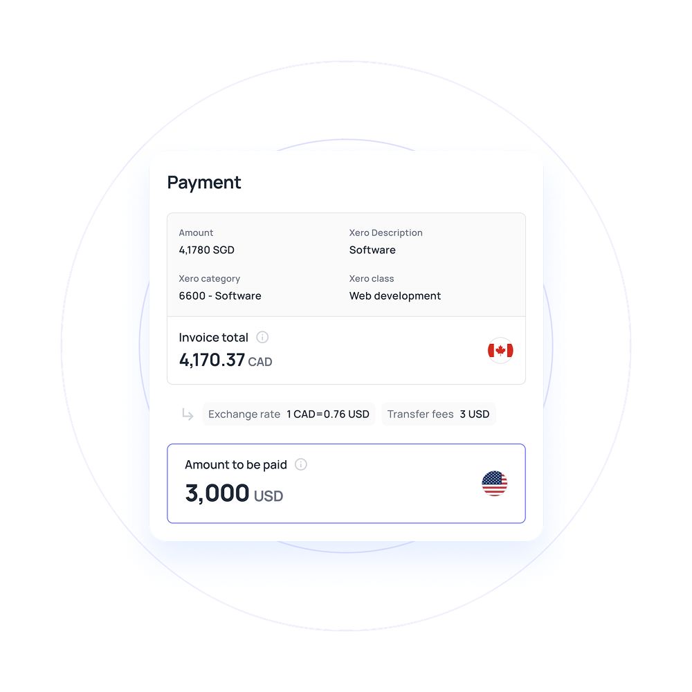 International payments with business account